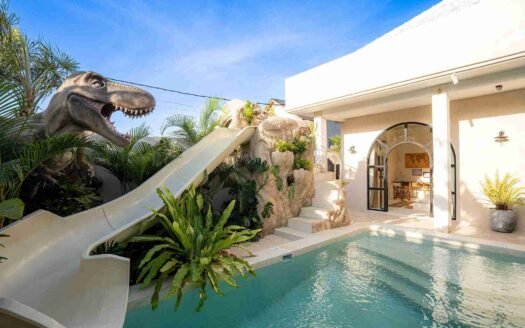 Dino X